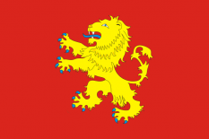 勒热夫市旗