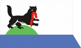 伊尔库茨克市旗