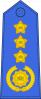 上将