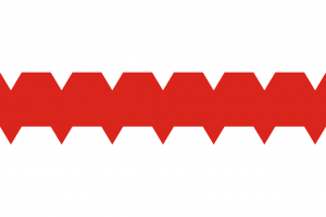 Flag of Omsk.png