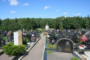 Troekurovskoe cemetery, 1.jpg