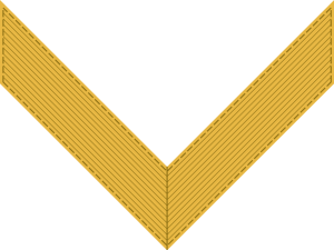 Kombrig, sleeve insignia.png