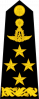 上将
