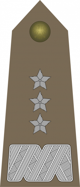 文件:Generał broni, Wojska Lądowe.png