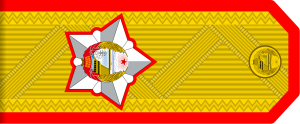 Vice Marshal of KPA.png