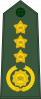 上将