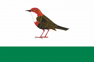 Flag of Birsk.png