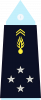 中将
